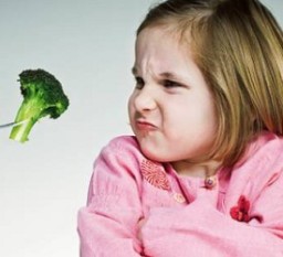 Practical Tips to Help your Fussy Eater